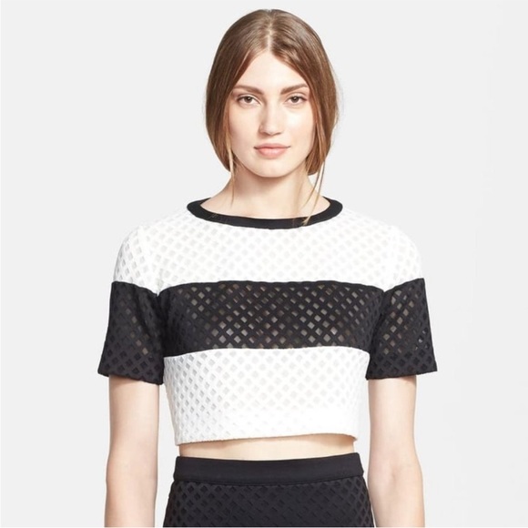 Elizabeth and James Leda Lattice Mesh Crop Top - Picture 1 of 10